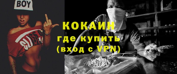 шишки Бородино