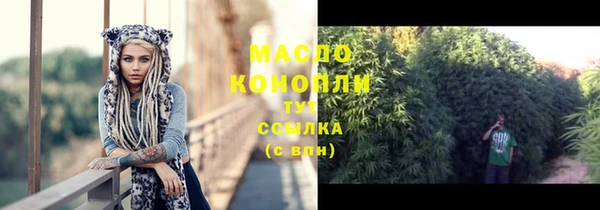 шишки Бородино