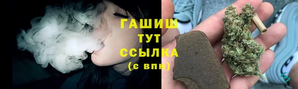 прущие грибы Бугульма