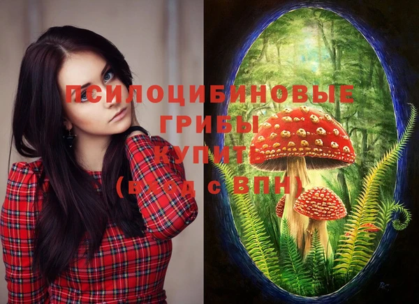 шишки Бородино