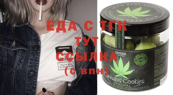 шишки Бородино