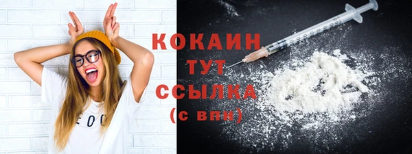 шишки Бородино